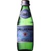 San Pellegrino Sparkling Doos 24 x 25cl